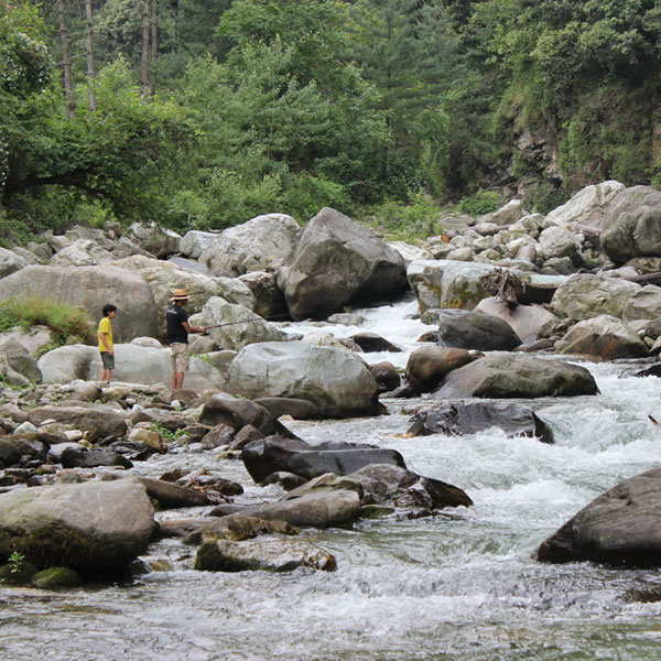 Angling
